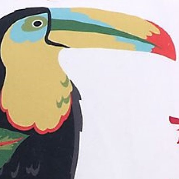 2 Levtex Teraina Toucan Feather-Filled  18" x 18" Pillows - Picture 5 of 10